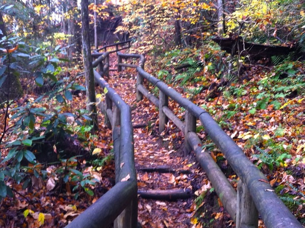 Natural Bridge State Park